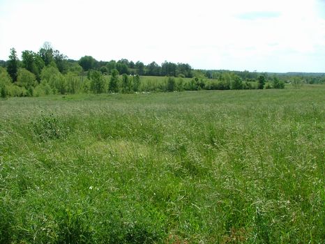 20+/- Ac Farm/Develop Opportunity : Sylvania : Jackson County : Alabama