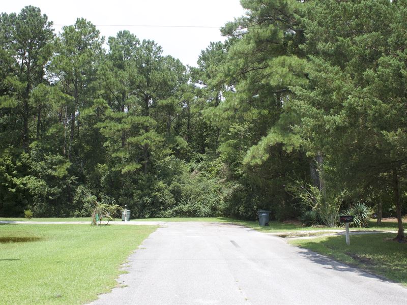 4.80 Acres in Duplin County, NC : Rose Hill : Duplin County : North Carolina
