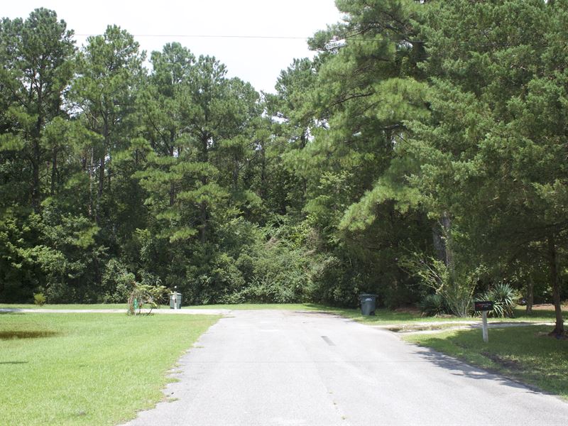 4.80 Acres in Duplin County, NC : Rose Hill : Duplin County : North Carolina