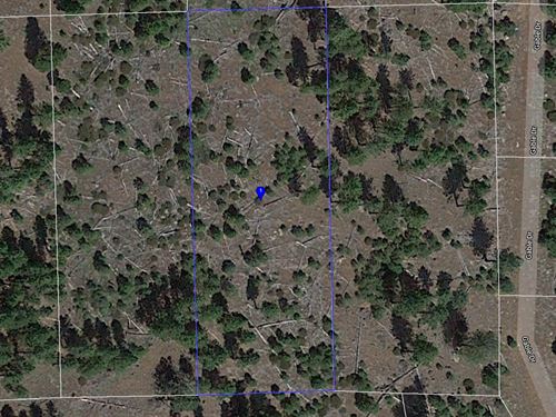 Rural California Pines Land : California Pines : Modoc County : California