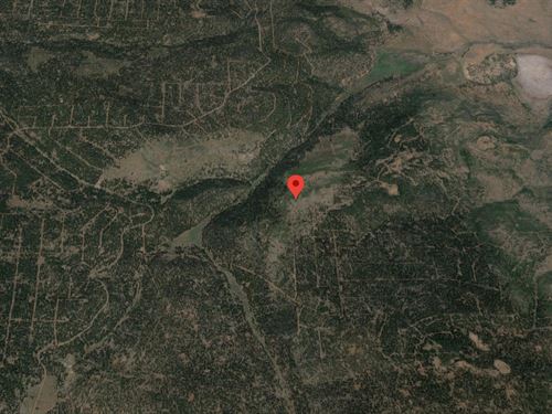 Rural California Exploration Hub : California Pines : Modoc County : California