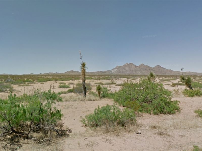 10 Acres in Luna County : Columbus : Luna County : New Mexico