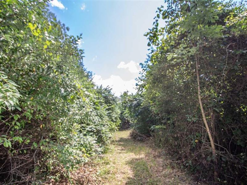 SR 138, 6 Acres : Greenfield : Highland County : Ohio