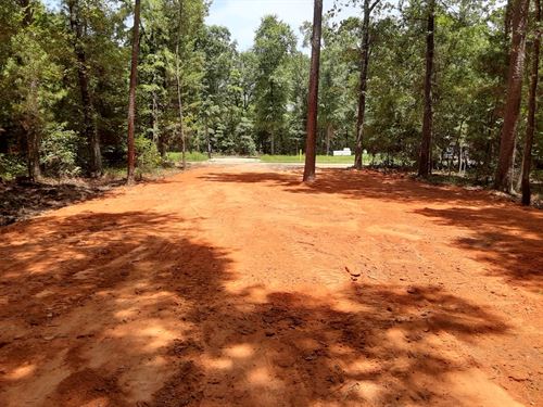 Premium Sized, RV & Mobile Ready : Livingston : Polk County : Texas