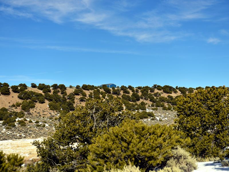 Colorado Hillside Property, 5 Acres : Fort Garland : Costilla County : Colorado