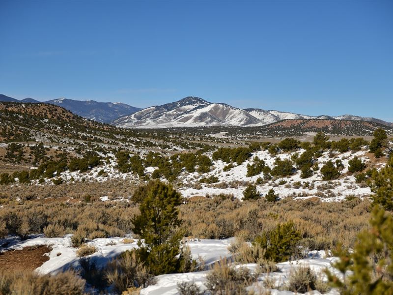 Five Mountain Acres, Fiber Optics : Fort Garland : Costilla County : Colorado