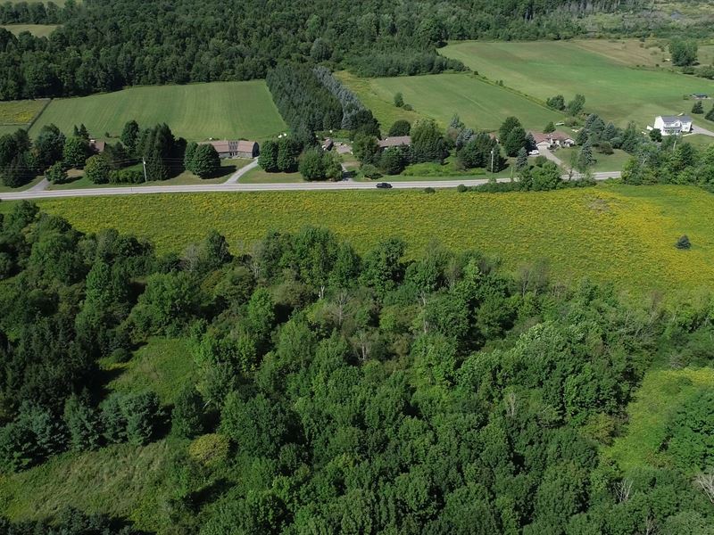 Spacious Open Lot with Frontage : Cazenovia : Madison County : New York