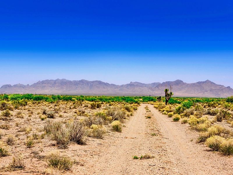 Ranch, Mountain Views, Road Front : Deming : Luna County : New Mexico