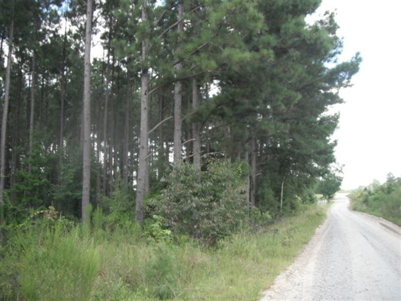 Timber and Home Sites : Patrick : Chesterfield County : South Carolina