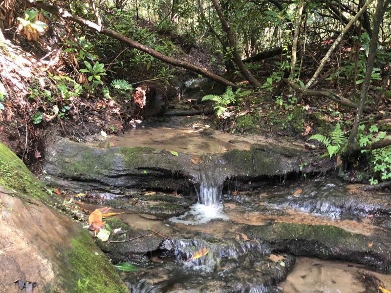 Emerald Crest, Waterfalls Clevelan : Cleveland : Greenville County : South Carolina