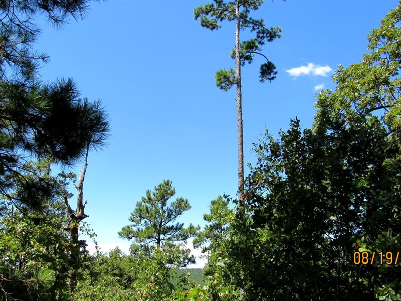 Mountain View Paradise : Moyers : Pushmataha County : Oklahoma