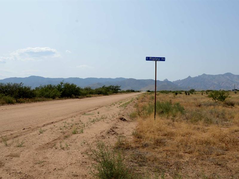 Awesome Adj Lots, Power, $150/Mo : Pearce : Cochise County : Arizona