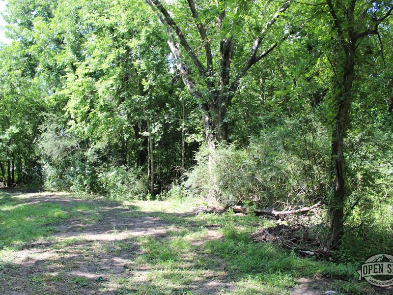 .55 Acres in Gilmer, TX : Gilmer : Upshur County : Texas
