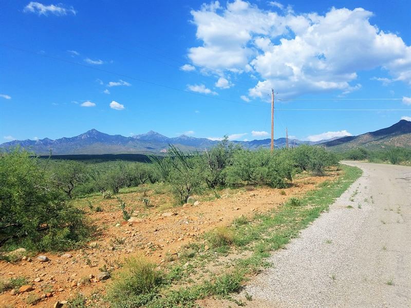 A Gem, Rare, Tubac/Tumacacori Area : Rio Rico : Santa Cruz County : Arizona