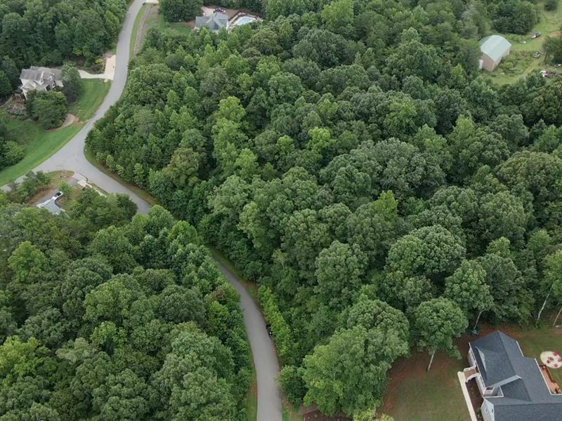 Mountain Creek Ridge Wooded Lot : Sherrils Ford : Catawba County : North Carolina
