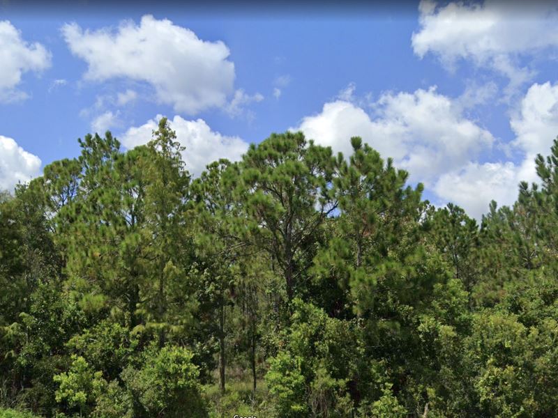 University Highlands Investment : Deland : Volusia County : Florida