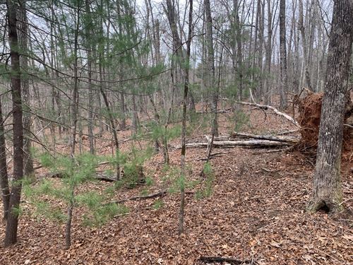 Residential Mountain Lot : Pickens : South Carolina