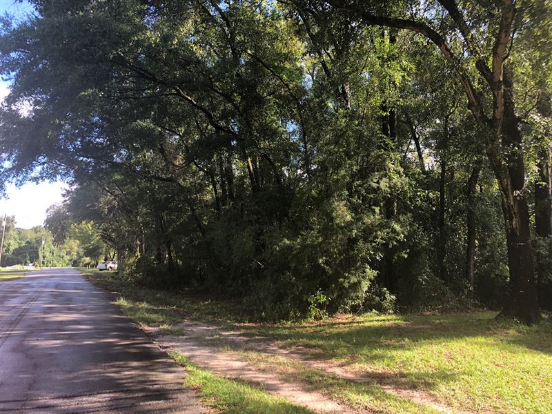 Commercial General Corner Lot : Dowling Park : Suwannee County : Florida