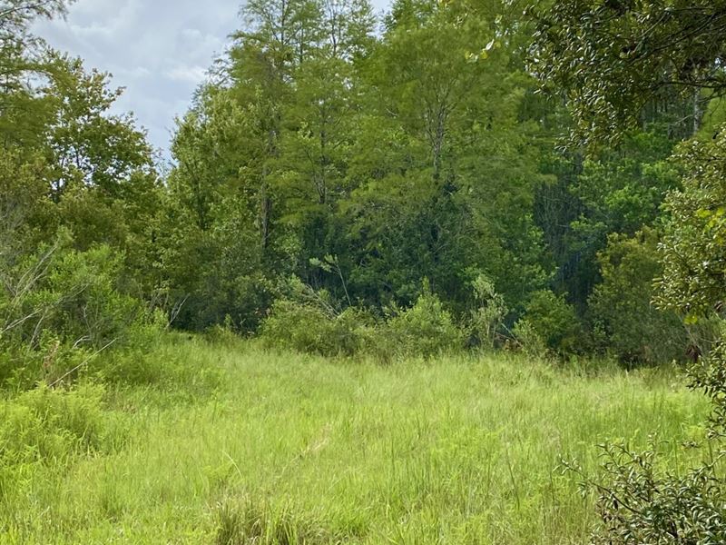 2 Parcel Totaling 7.92 Acres : Hudson : Pasco County : Florida