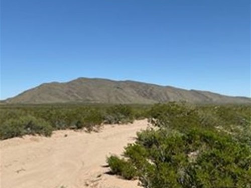 Great Hunting-20 Acres Only $198/Mo : Fort Hancock : Hudspeth County : Texas