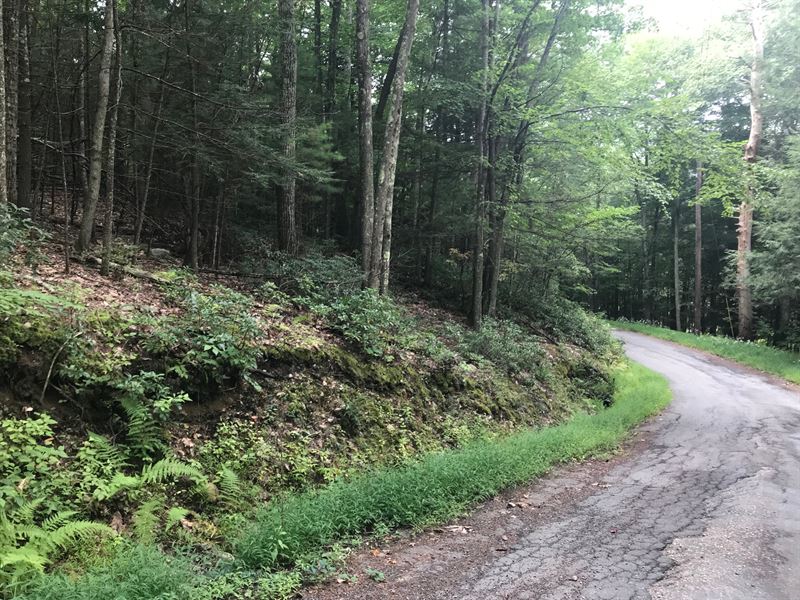 Secluded and Wooded Building Lot : Mamakating : Sullivan County : New York