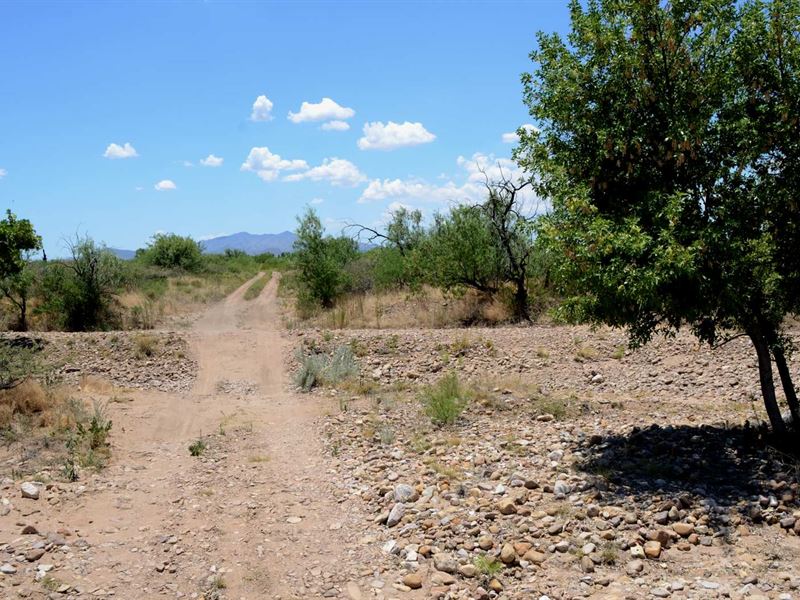 Nice, Ru-4, Turkey Creek $275/Mo : Sunizona : Cochise County : Arizona