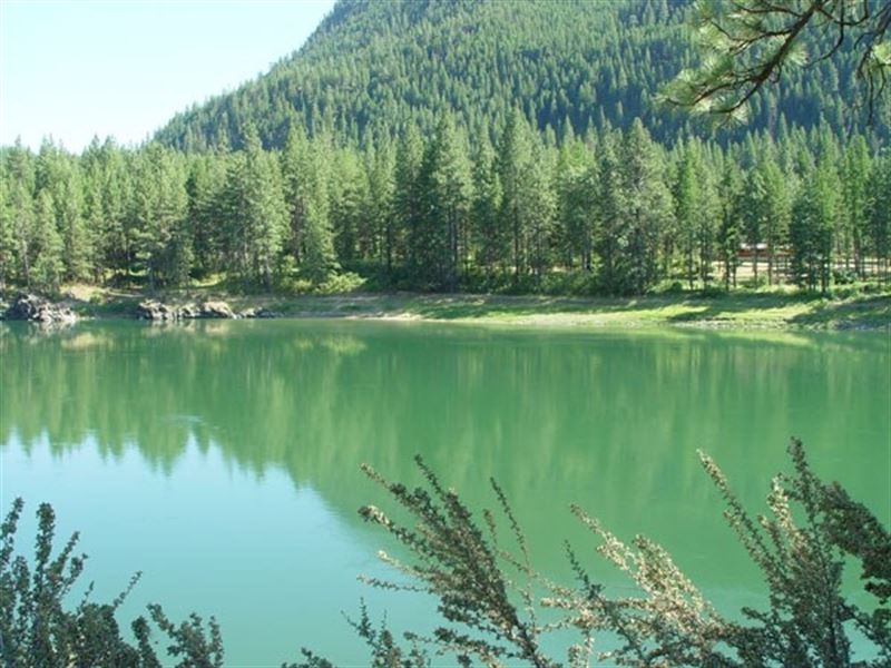 Clark Fork Riverfront Land for Sale : Plains : Sanders County : Montana
