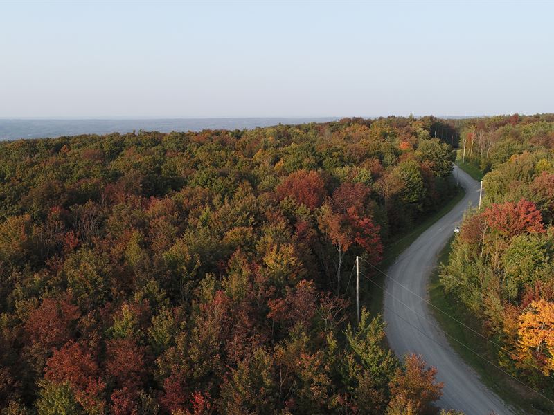 9.5 Acres Forest and Creek, Power : Herkimer : Herkimer County : New York