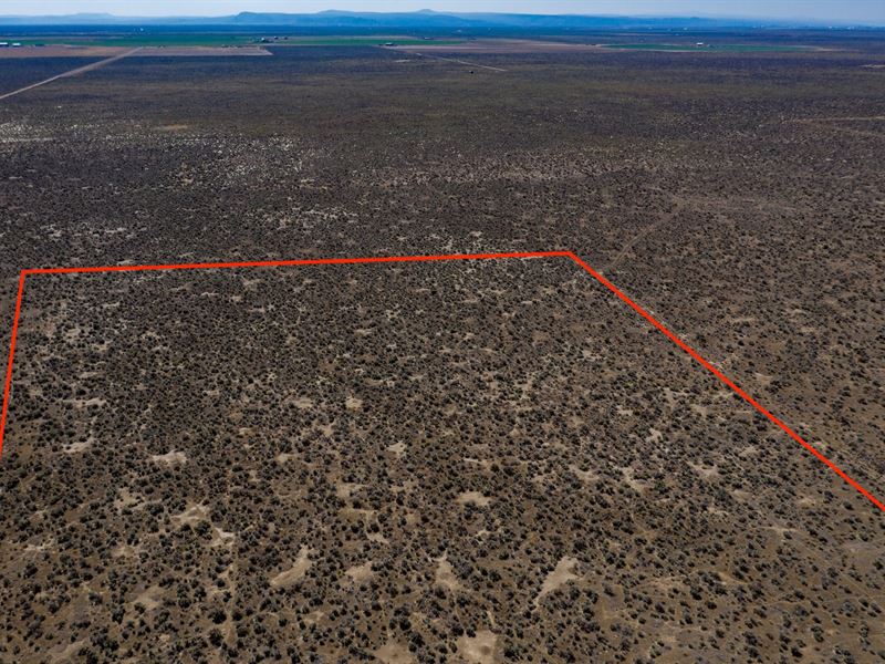 20 Acres with Great Access : Christmas Valley : Lake County : Oregon