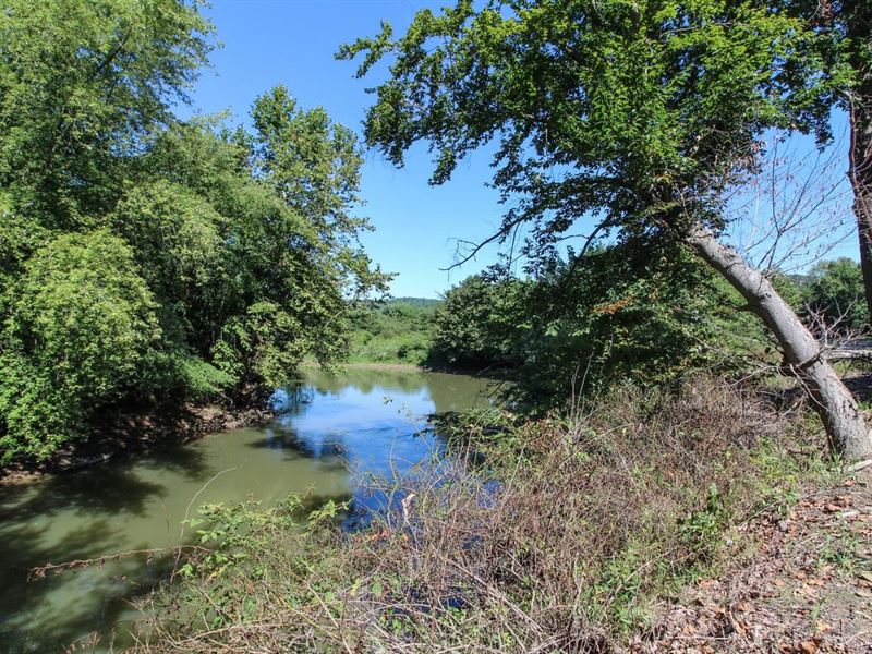 SR 60, 17 Acres, Coshocton County : Warsaw : Coshocton County : Ohio