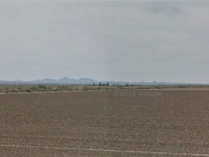 One and Half Acre : Deming : Luna County : New Mexico