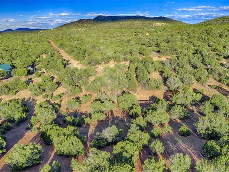 Make Your Escape From The Stress : Concho : Apache County : Arizona