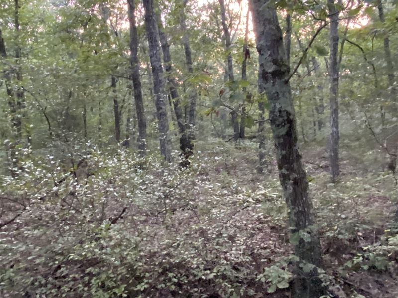 Land Active : Dixon : Maries County : Missouri