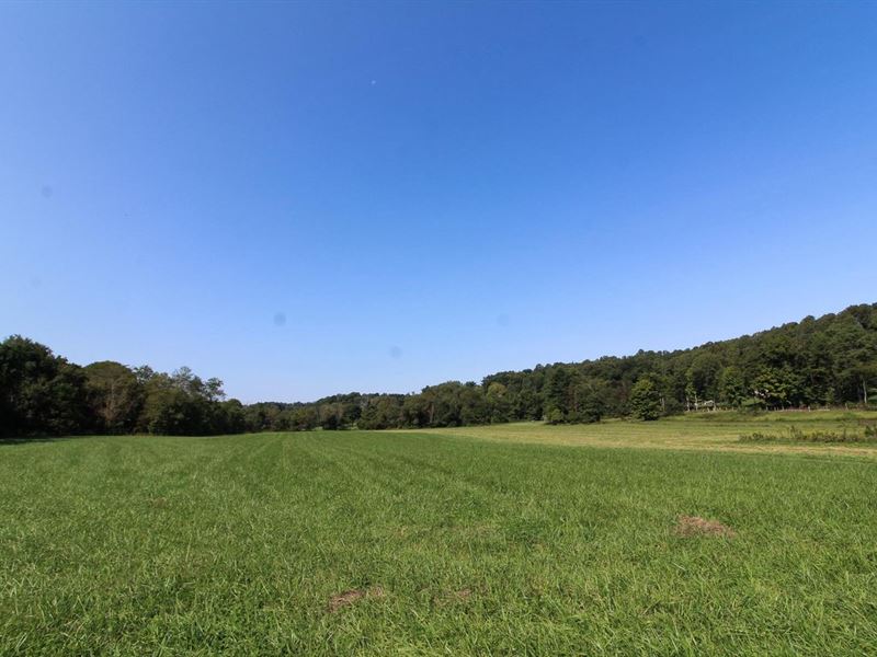 TR 399, 12 Acres, Coshocton Count : Coshocton : Coshocton County : Ohio