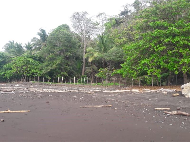 Beach Front Lot Cambutal Panama : Panama
