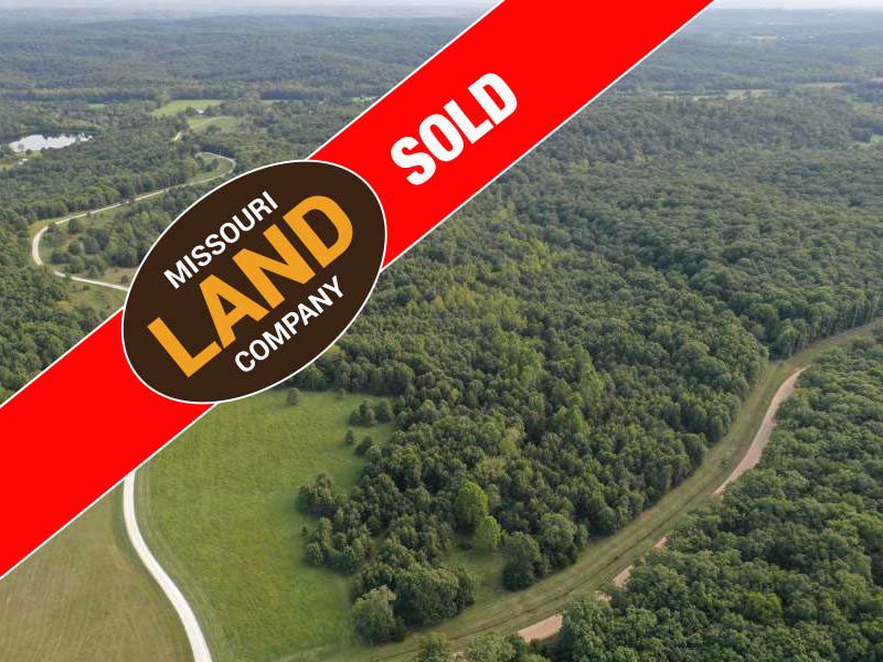 17 Acres Great Hunting Building : Cole Camp : Benton County : Missouri