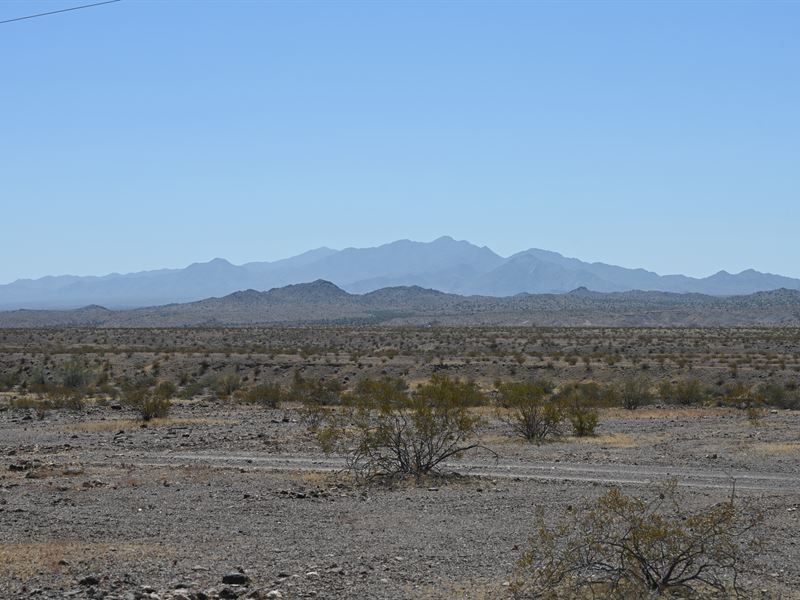 3.1 Acres of Freedom for $85/Month : Topock : Mohave County : Arizona