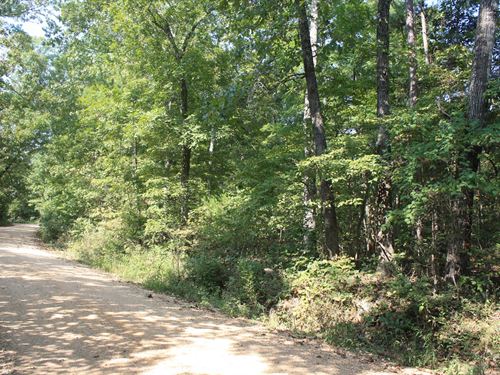 Piedmont MO Land For Sale : Piedmont : Wayne County : Missouri