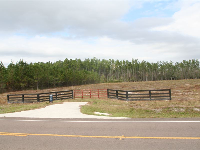 Lot 2 in Dixon Farms, Callahan, FL : Callahan : Nassau County : Florida