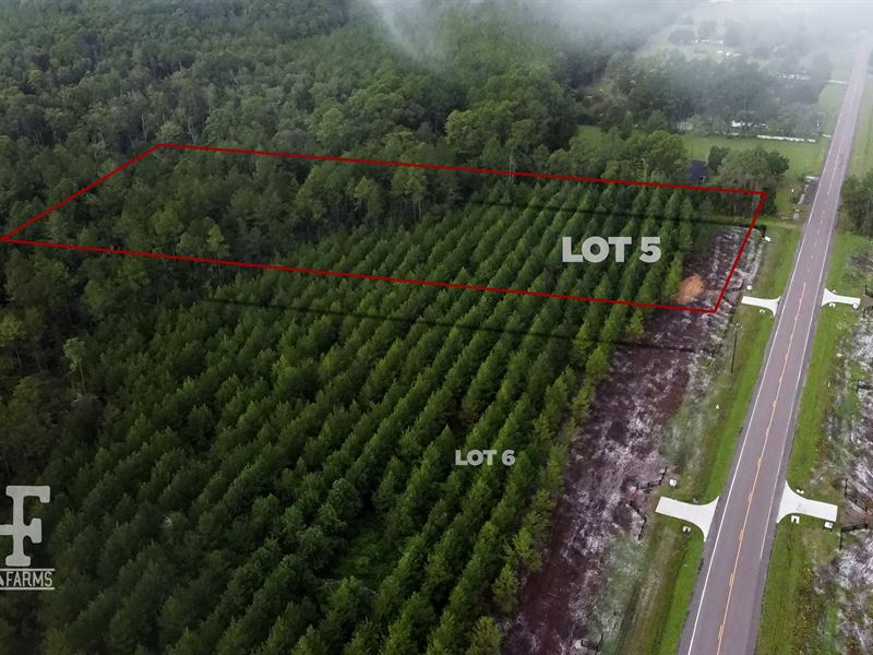 Lot 5 Dixon Farms, Callahan, FL : Callahan : Nassau County : Florida