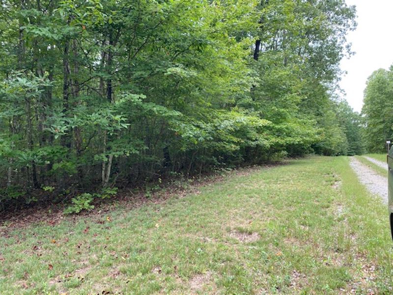 5.16+/- Acres Beautiful Views : Altamont : Grundy County : Tennessee