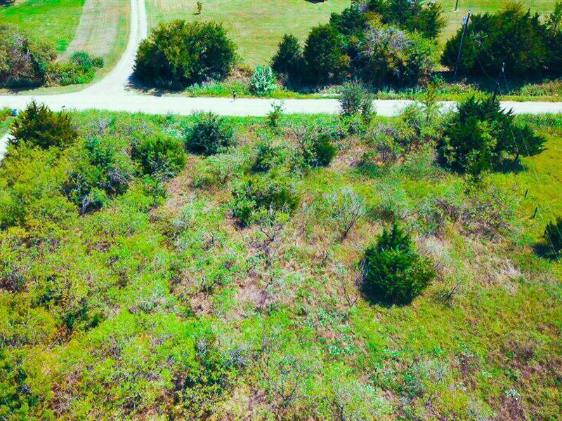 Gorgeous Lot in Corsicana, Texas : Corsicana : Navarro County : Texas