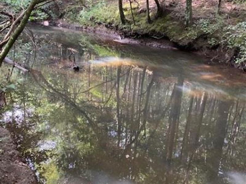 4.89+/- Acres Unrestricted, Creek : Gruetli-Laager : Grundy County : Tennessee