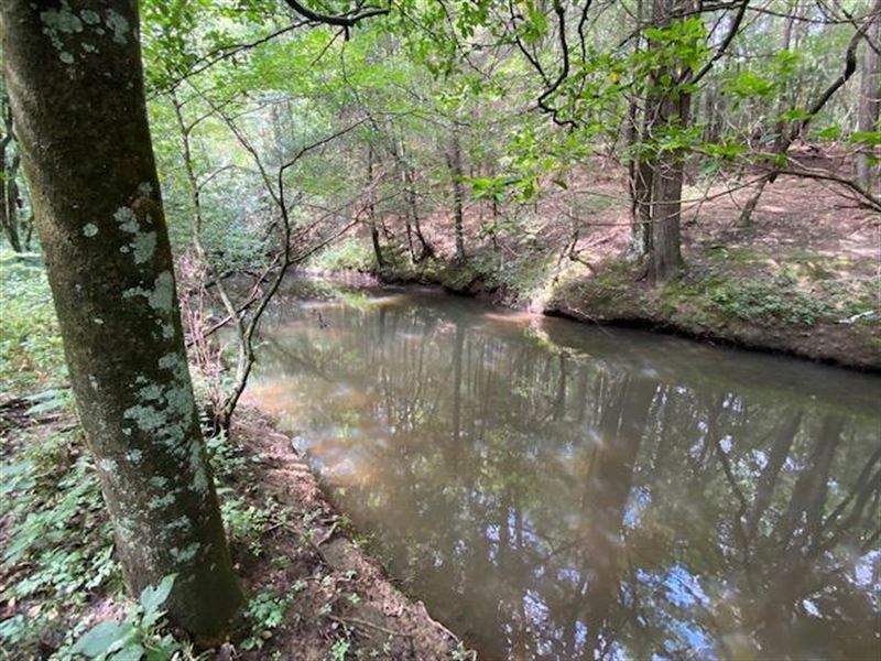 5.04+/- Acres Unrestricted, Creek : Gruetli-Laager : Grundy County : Tennessee
