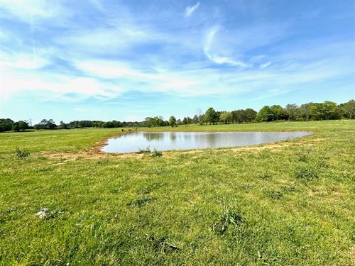 3.3 Acres With a Pond in Greenville : Greenville : Butler County : Alabama