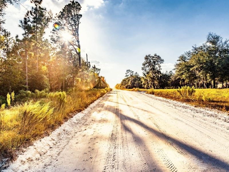 Owner Finance, Mobile Ok, 5 Acres : Branford : Suwannee County : Florida
