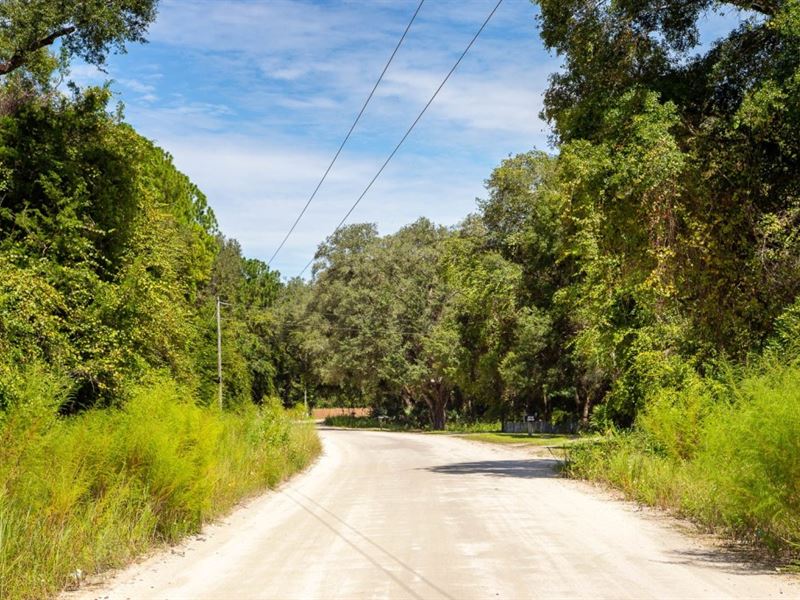 Owner Finance, Mobiles Okay, 4.8 Ac : Old Town : Dixie County : Florida