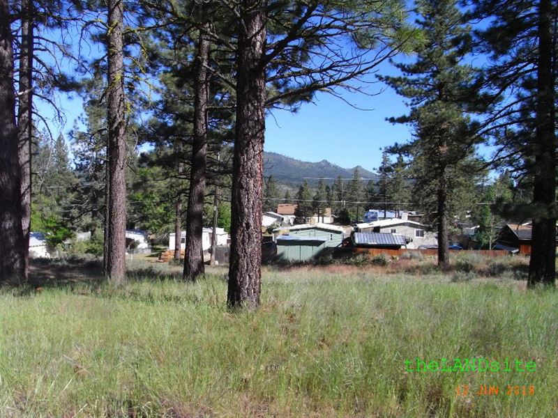 5 Undeveloped Lots, Portola, CA : Portola : Plumas County : California