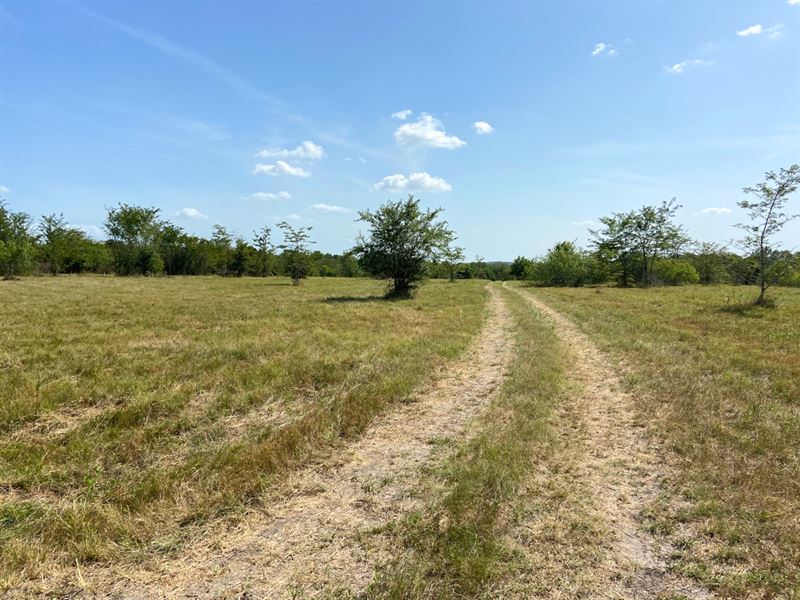 10 Acres Tract 11 Morgan Spur : Huntsville : Walker County : Texas