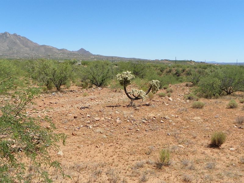 Buildable & Tranquil on Paved Road : Rio Rico : Santa Cruz County : Arizona